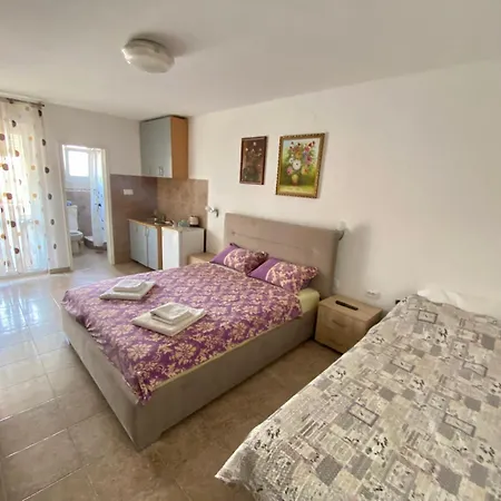 Popovic Apartament *