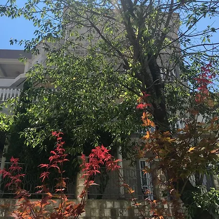 Apartment Popovic